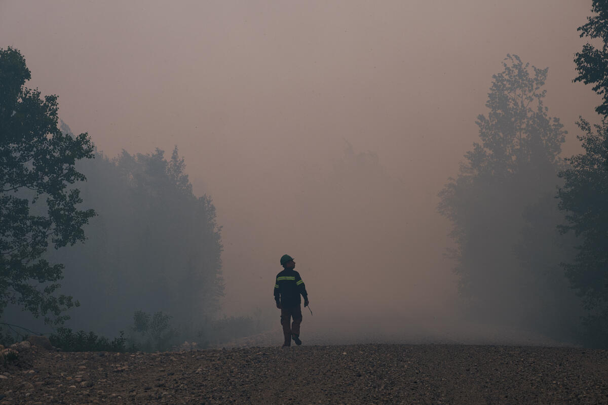 A foreman carries out a reconnaissance mission on the main road.