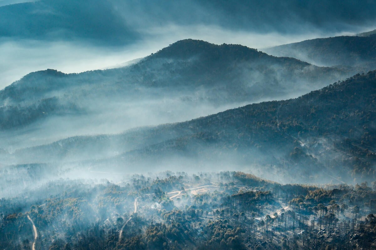 Greenpeace has documented, with exclusive aerial images, the areas burned by wildfires in Toledo, Madrid, &Aacute;vila, Segovia, and Guadalajara. The images taken from a small plane reflect the devastation of the Burgohondo fire, the largest on record, as well as the fire that affected the Sierra Oeste region of Madrid, which led to the declaration of a national emergency.This summer of 2026 has already set several milestones in the history of forest fires in Spain, both for their magnitude and ferocity and for the number of people affected and killed. Therefore, Greenpeace, in collaboration with photographer Pedro Armestre, wanted to analyze the magnitude of the devastation from the air, even reaching areas not previously photographed in southern &Aacute;vila, the Sierra Oeste region of Madrid, and the northern part of the province of Guadalajara.