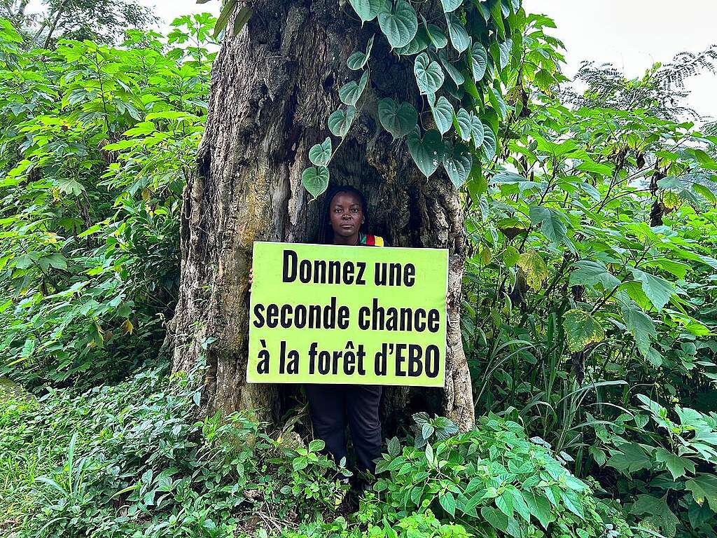 On the occasion of International Youth Day, The Youths and Volunteers Programme organized an activity titled "SPORT FOR EBO FOREST" at Parcours Vita in Yaoundé.
This hiking event, held in support of the Ebo Forest, enabled youths and volunteers to take part in a fitness walk led by a sports coach, participate in a photo session, and enjoy moments of bonding through recreational games.