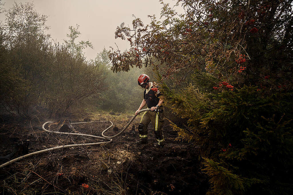 A massive fire broke out on Friday 14 August 2026 in the High Fens nature reserve (East of Belgium). Fueled by the dry vegetation, this peatland fire ravaged more than 3,000 hectares of nature.