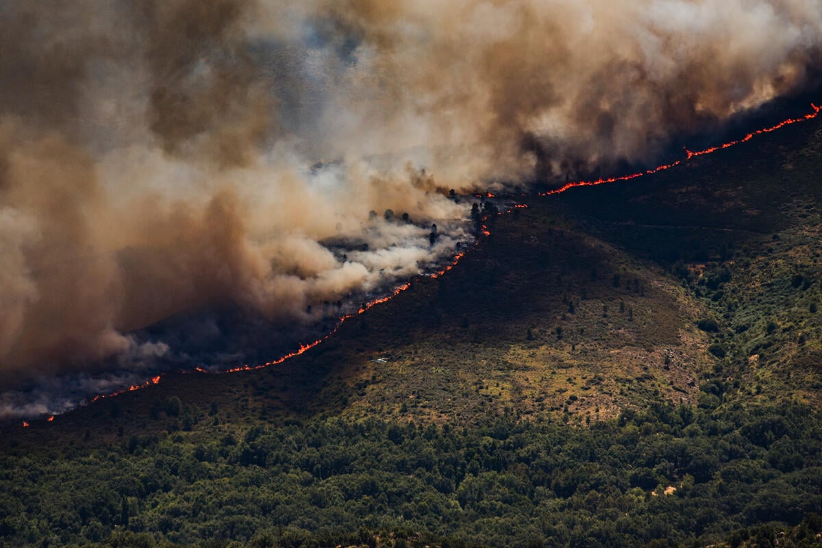 Climate emergencies photos of 2026: Part II