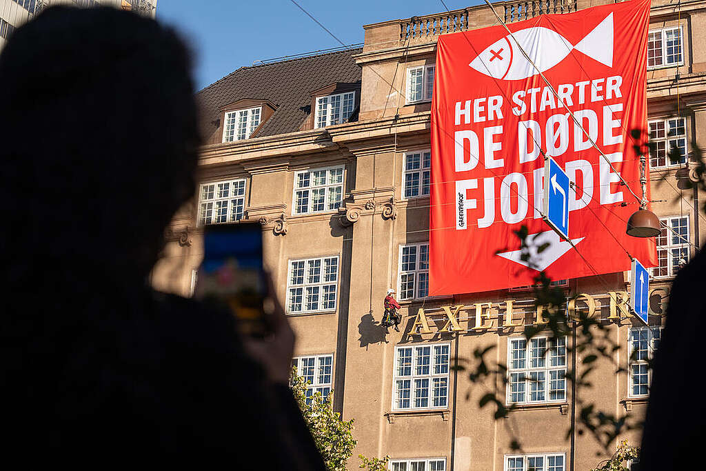 Greenpeace Nordic activists peacefully protest at the headquarters of the lobbying organization Danish Agriculture & Food Council in Copenhagen, Denmark. The activists have climbed up and raised a red warning flag on the flagpole and hung a large banner over the façade with the message: “Here the dead fjords begin.” The protest draws a straight line from the lobbying organization to the dying fjords and waters that are under pressure from oxygen depletion.
Greenpeace argues that the organization has for years misled agriculture’s significant role in nitrogen pollution of the marine environment to avoid taking responsibility. Greenpeace is calling on politicians to cut the close ties with Danish Agriculture & Food Council and implement strict regulations to reduce nitrogen emissions from fertilizers and manure into the aquatic environment.