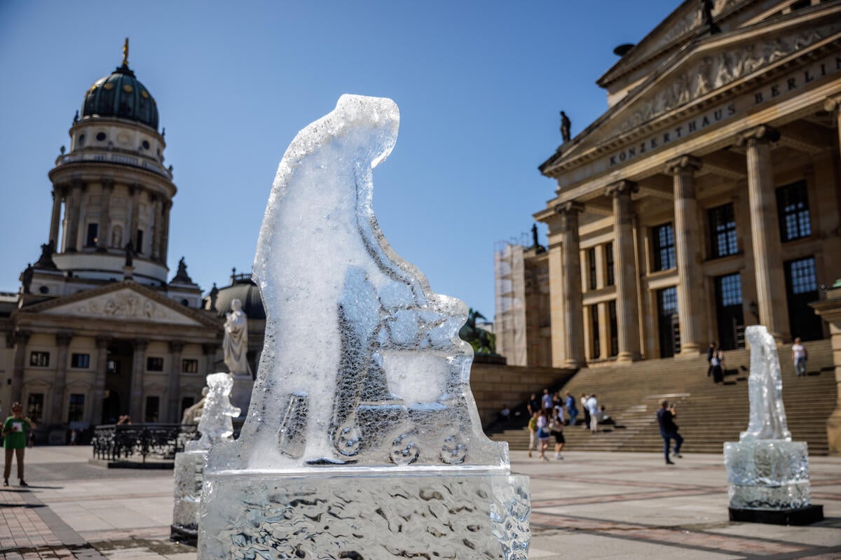 Greenpeace Pictures of the Week