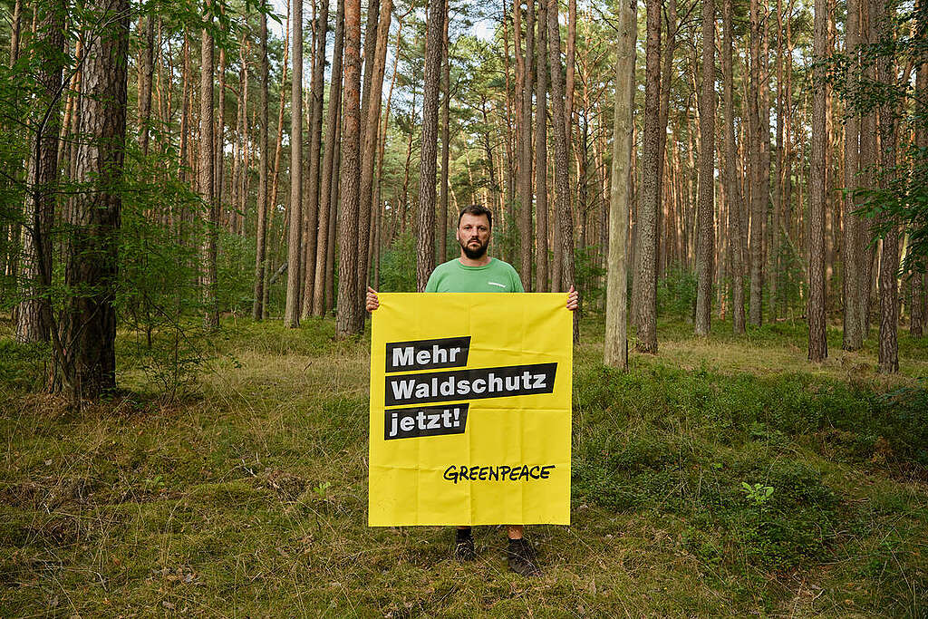 Forest Site Visit in Brandenburg During a forest tour in Reiersdorf, Brandenburg, Greenpeace highlights the extreme fire risk posed by pine monocultures, showing how structurally diverse mixed forests with deadwood cool the ground and naturally prevent wildfires