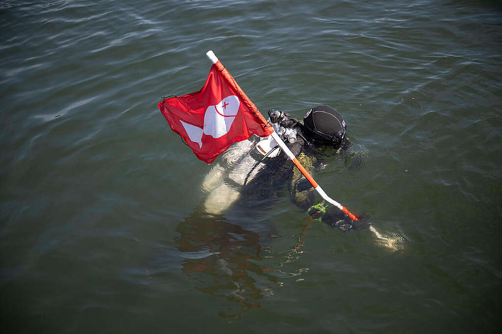Action Brings Oxygen Depletion Crisis to the Surface and Raises a Red Flag for Fish - Vejle Fjord Danish fjords, lakes and coastal waters are plagued by oxygen depletion due to decades of pollution from industrial pig farming. Greenpeace Nordic is on an expedition to measure and document the extent of the problem, as well as nitrogen pollution, which originates mainly from pig manure spread onto the fields.