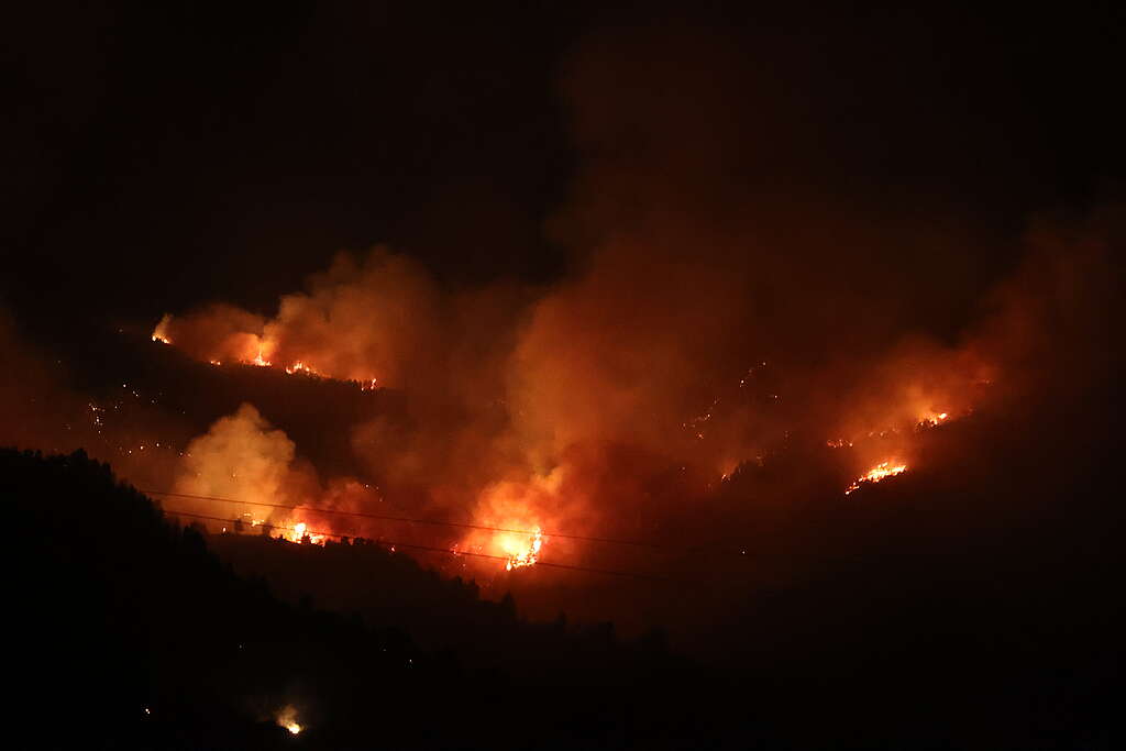 Wildfire in Algeria Smoke and flame rise from a wildfire as extinguishing work is continue in Blida, Algeria on July 17, 2026.Firefighters brought 65 of the blazes under control, while 46 remained active across 18 provinces. Major firefighting operations were underway in Bejaia, Annaba, Skikda, Blida, Tizi Ouzou, Boumerdes, Ain Defla and Tlemcen, supported by firefighting aircraft and helicopters. © Hamza Zait/Anadolu via Getty Images