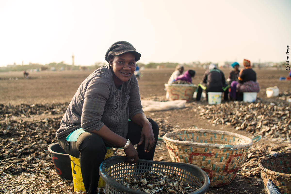 Senegal, Joal and BargnyFishmeal and fish oil factories in West Africa are putting at risk food security and livelihood of up to 40 million people. These factories swallow enormous amounts of fresh fish, that the local population need, to feed fish in aquaculture industries, pigs and chickens and even pets in Europe and Asia. Now people are rising up on International Women's day against the factories.