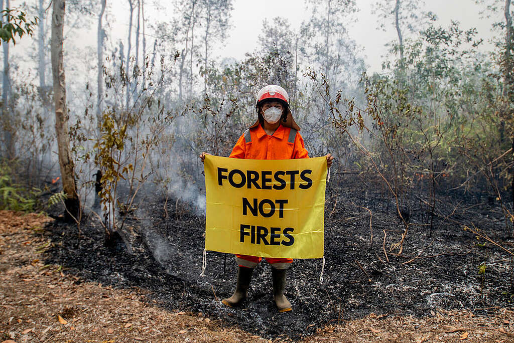 Peatland Fires in Ogan Komering Ilir, Indonesia Ali, a member of Greenpeace Indonesia's Fire Prevention Team, holds a banner reading