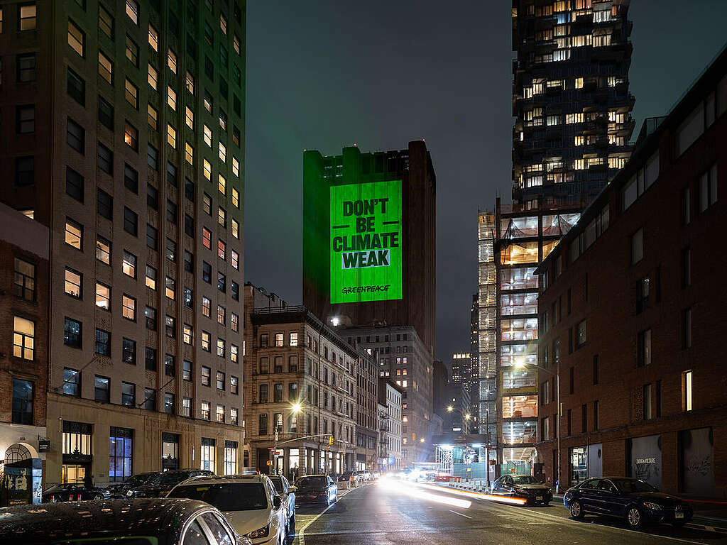 Time to Resist Projection at New York Climate Week 2026 To kick off Climate Week and UNGA, Greenpeace delivered a massive projection right on their doorstep at the AT&T building and Manhattan Bridge in New York City calling out the billionaire and autocrats of the world. The message is loud and clear: Defend your Freedoms + Defend your Rights = Defend the Planet. RESIST!
