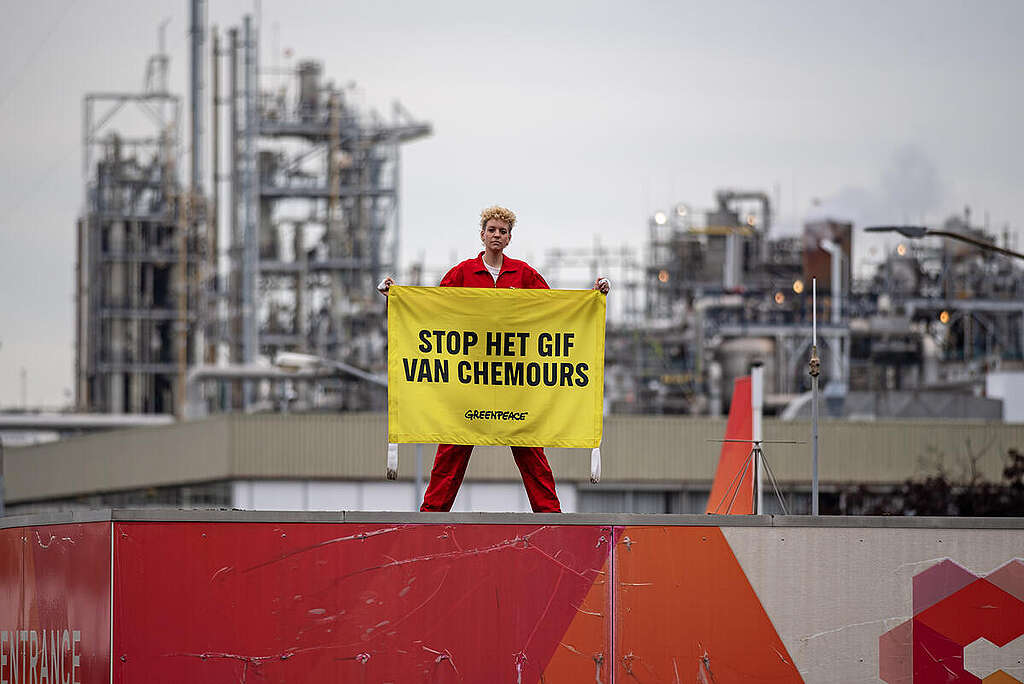 Greenpeace Increases Pressure on Chemours and Demands End to Illegal PFAS Discharges Greenpeace Netherlands files an enforcement request against chemical company Chemours over illegal PFAS discharges. PFAS is accumulating in the environment and public health, found in everything from eggs to breast milk. Because the company is now attempting to legalize the toxic substance TFA through new permits and the government fails to intervene, Greenpeace is taking action with the environmental authority and the courts. By conducting its own measurements in water, air, and soil, the environmental organization aims to permanently stop further pollution alongside local residents and lawyer Benedicte Ficq.