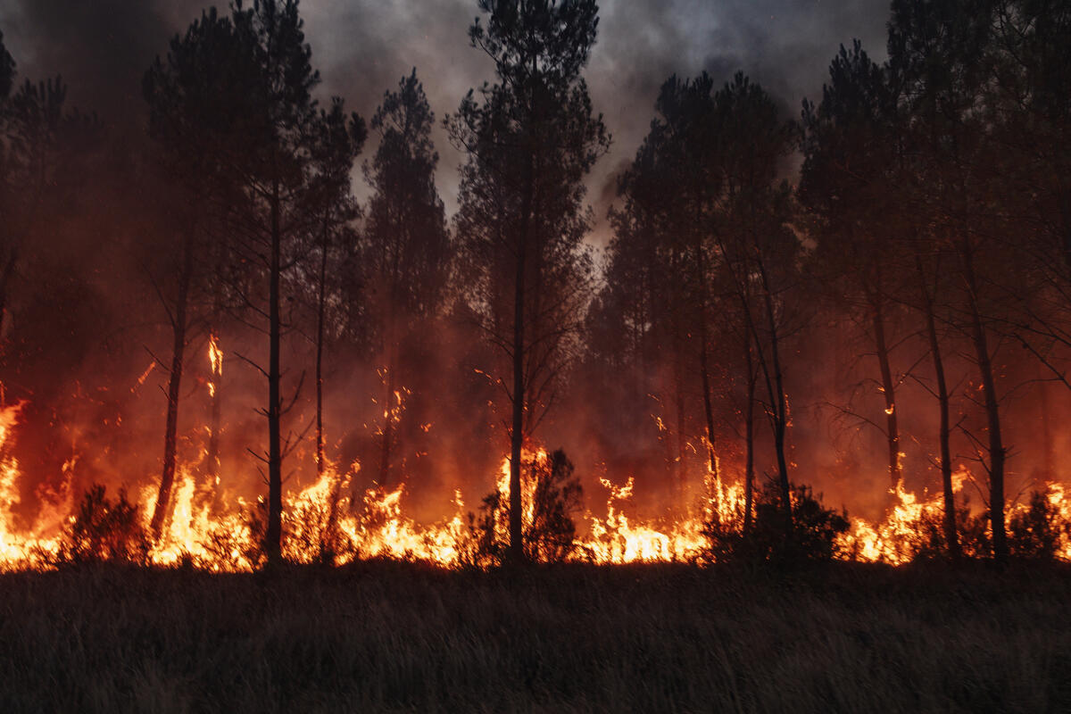Wildfires in Gironde A long fire line burns along a pine forest under a column of dark smoke during a wildfire in Marcheprime in Gironde, France. Flames spread through dry vegetation beside the trees as black smoke rises above the forest edge.