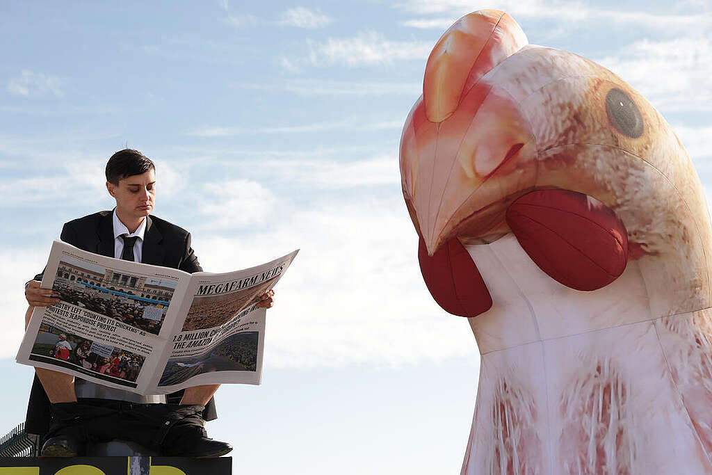 12 Greenpeace activists have scaled three barns at a controversial megafarm development in northeast Croatia, painting a 500m2 slogan reading 'Stop This Shit' in protest at the threat that animal waste from the facility poses to a nearby biosphere reserve.