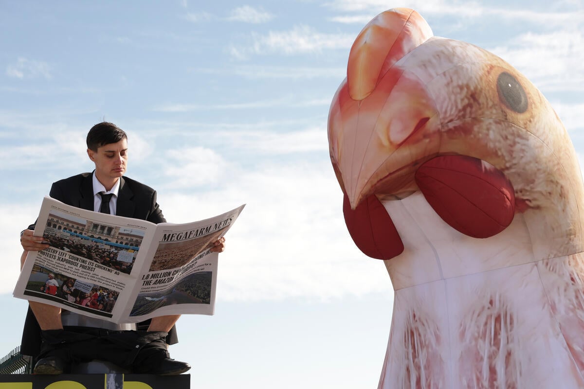 Greenpeace Pictures of the Week