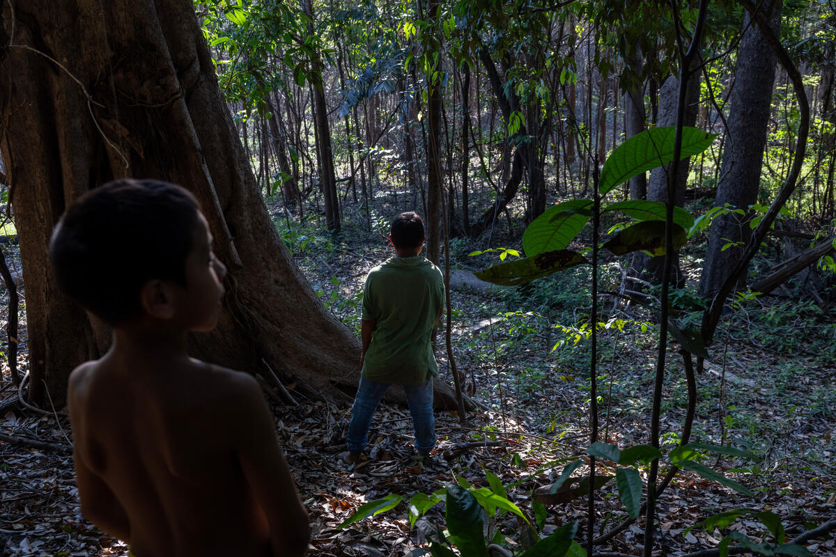 Greenpeace visited Caititu Indigenous Land, home of the Apurin&atilde; people in L&aacute;brea, Amazonas, to document how Indigenous-led solutions protect the Amazon and its peoples. The mission was to expose the impacts of deforestation, cattle expansion, and wildfires - and to highlight practices that ensure forest conservation, well-being, and income generation.