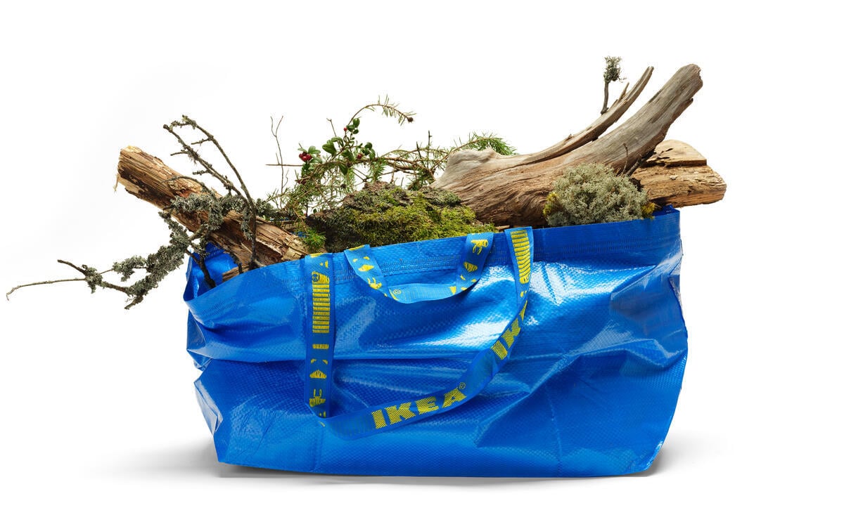 Greenpeace report: Ikea’s hunger for wood destroys Europe’s precious forests