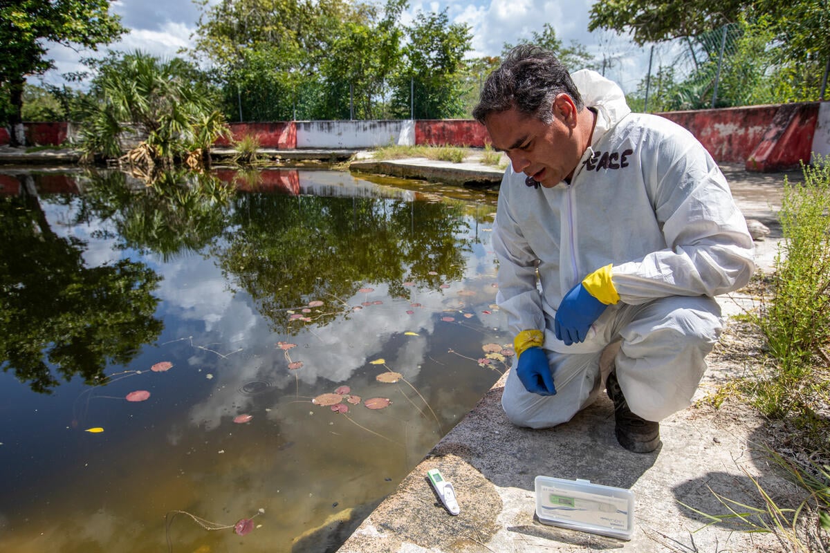 Community Groundwater Sampling Project in Yucatán, Mexico (Day 2 - Sabtún Cenote) As part of Greenpeace Mexico's