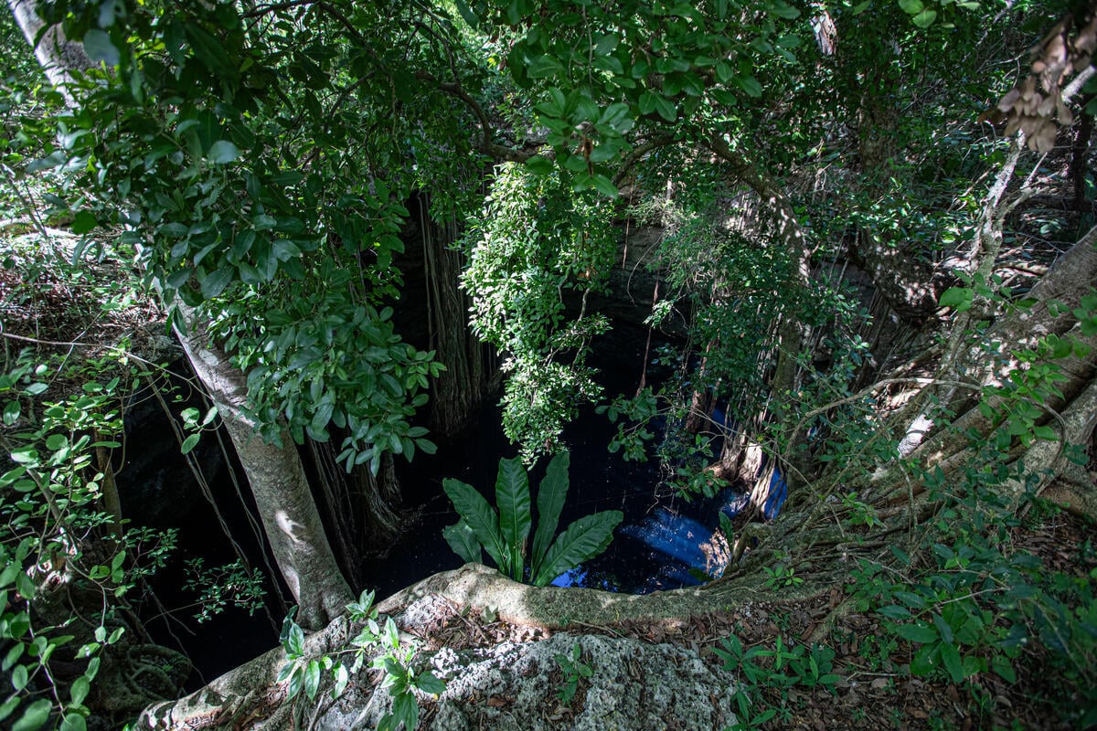 Community Groundwater Sampling Project in Yucatán, Mexico (Day 3 - Molas) As part of Greenpeace Mexico's