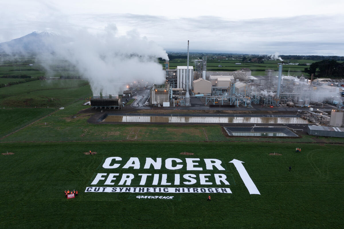 On 11 July 2022 Greenpeace Aotearoa confronted the fertiliser industry with a 1500 sq metre banner outside the Kapuni fertiliser factory in South Taranaki. The message highlights the link between synthetic nitrogen fertiliser and the cancer risk of nitrate-contaminated drinking water, and calls on the government to cut synthetic nitrogen.The banner reads: CANCER FERTILISER - CUT SYNTHETIC NITROGEN. The largest letters are over three stories high. An arrow directs the message at the billowing stacks of the fertiliser factory.