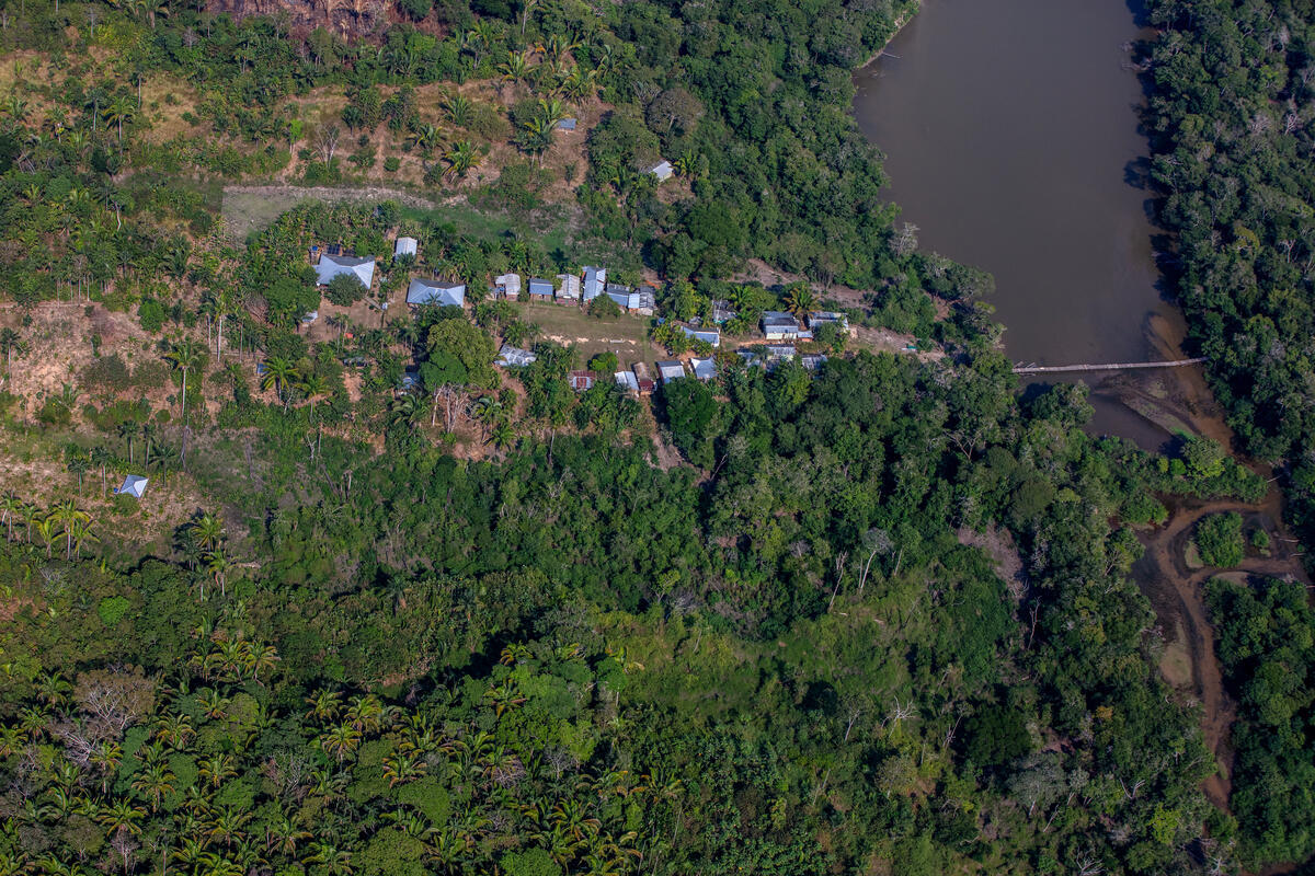 Greenpeace Brazil conducted an aerial survey in the Amazon region to monitor deforestation and forest fires. The flight documented cattle ranches, deforested areas, and environmental destruction. Influencers were invited to join the survey, helping amplify the urgency of protecting the forest by sharing their experience and reactions.