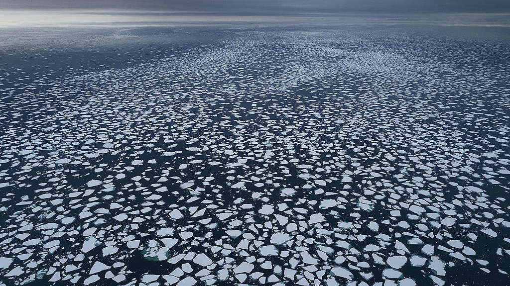 Ice Floes in the Arctic. © Christian Åslund / Greenpeace