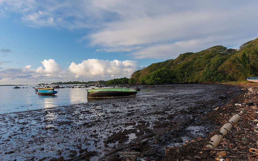 Mauritius Oil Spill in the Indian Ocean. © Rajiv Groochurn / Greenpeace