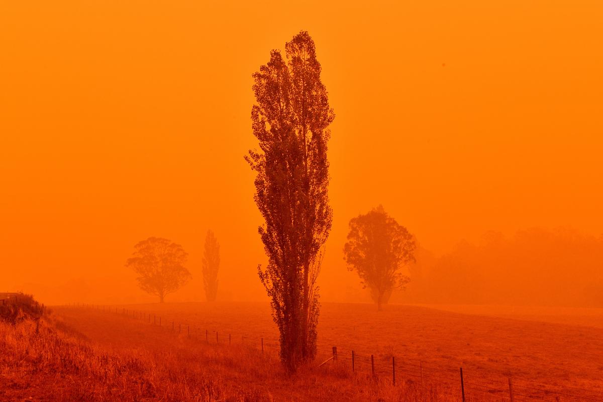 Australian Bush fire. © SAEED KHAN / AFP via Getty Images