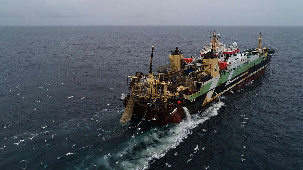 Helen Mary Supertrawler in the North Sea. © Christian Åslund / Greenpeace Helen Mary Supertrawler in the North Sea. © Christian Åslund / Greenpeace