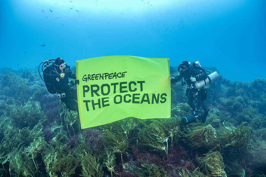 Diving Operation at Vema Seamount. © Richard Barnden / Greenpeace