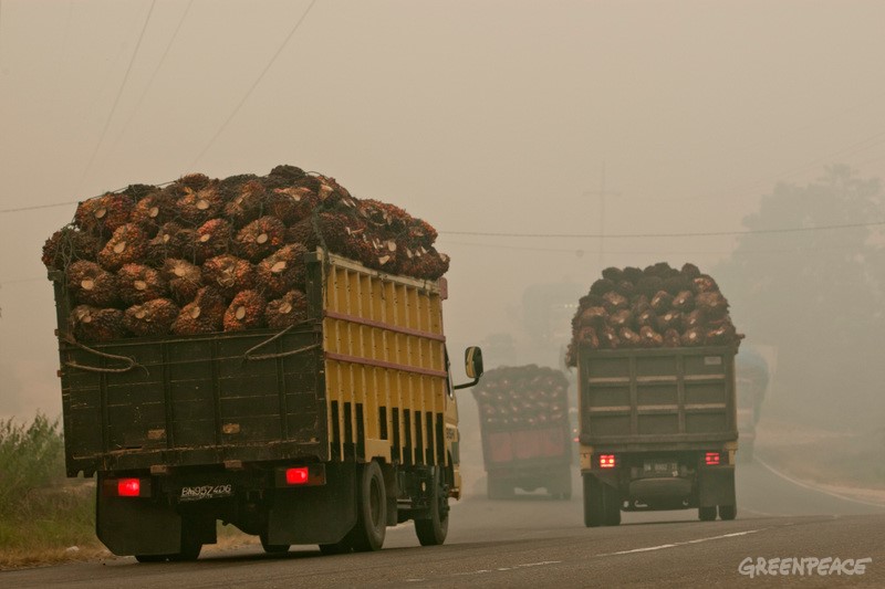 Trucks loaded palm oil fruit drive trough haze at Rokan Hilir Regency on June 25, 2013, in Riau Province, Indonesia. The forest fires continue to cause record-breaking air pollution in Singapore and Malaysia.
