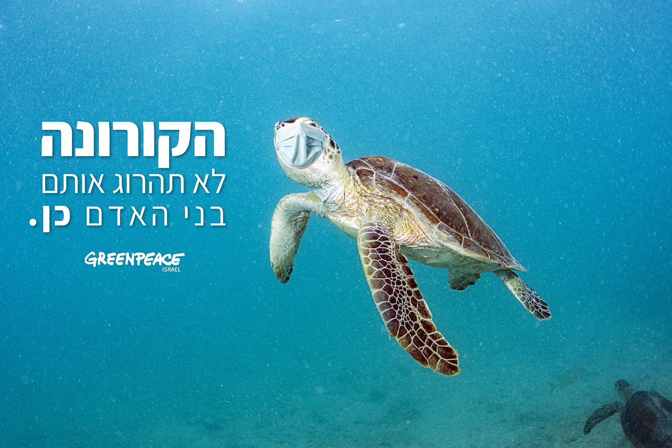 הקורונה מחריפה ואיתה זיהום הפלסטיק החד פעמי