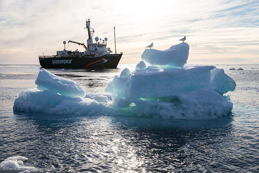 MY Arctic Sunrise in the Arctic Sea ספינת גרינפיס ליד קרחונים