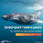 הישג היסטורי – הושגה אמנת אוקיינוסים בינלאומית: הצהרת גרינפיס