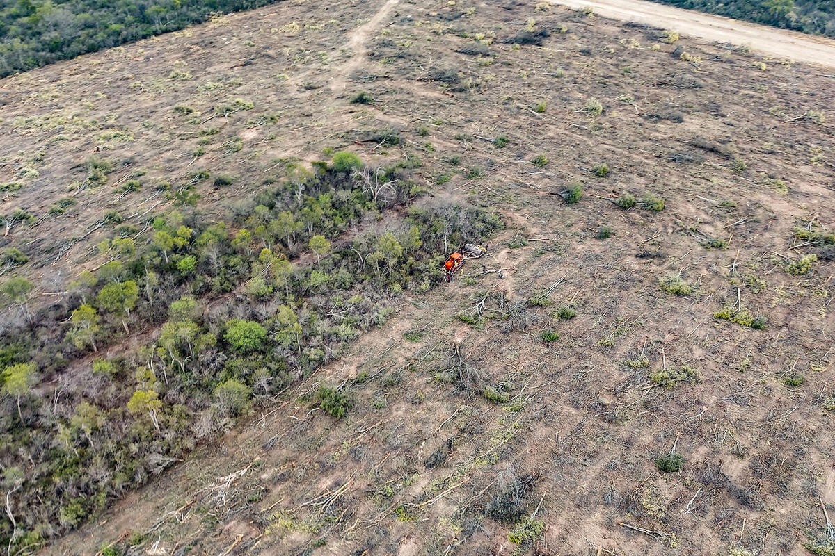 Blockade of Bulldozers that Devastated Forests in Santiago del Estero. © Greenpeace Blockade of Bulldozers that Devastated Forests in Santiago del Estero. © Greenpeace