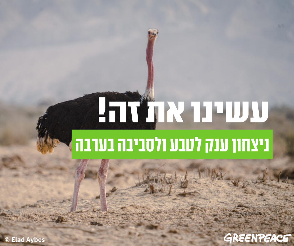 ניצחון: הארכת רישיון חיפוש הנפט בערבה נדחתה