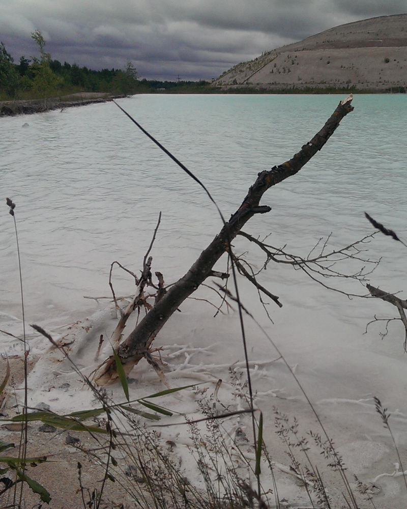 אגם מים טבעי או מלאכותי עם מים מזוהמים בצבע לבן אטום ועץ מת