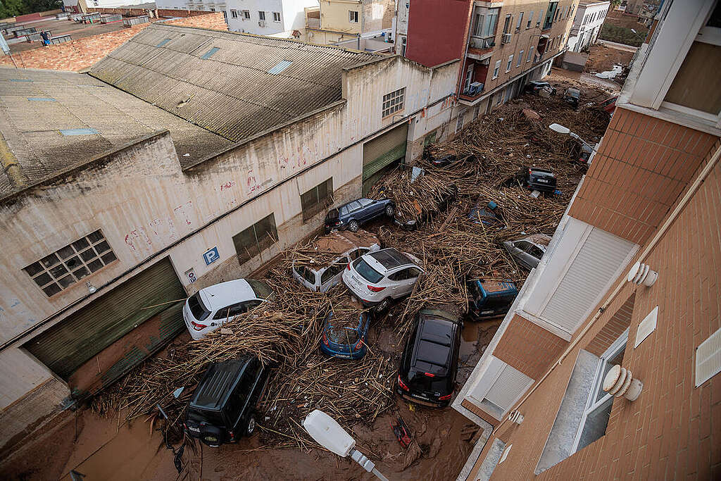 מכוניות הרוסות בתוך בוץ ופסולת עצים אחרי שיטפון.