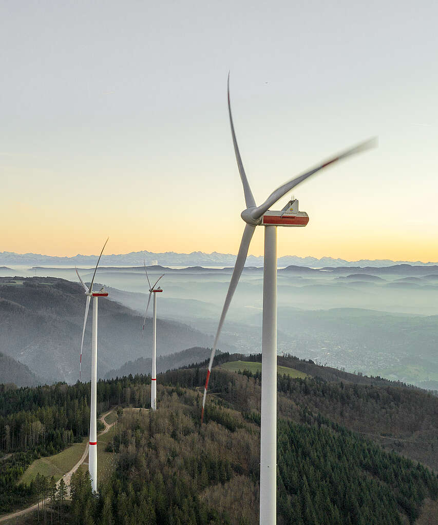 טורבינות רוח על גבעות ירוקות ערפיליות ביער השחור