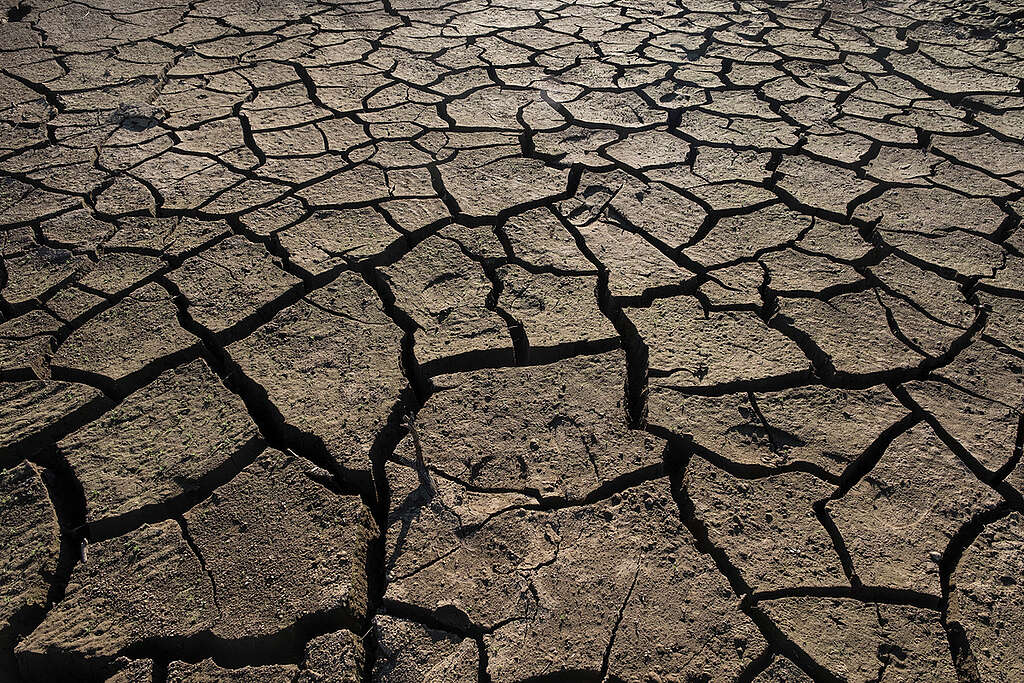 אדמה מבוקעת ויבשה