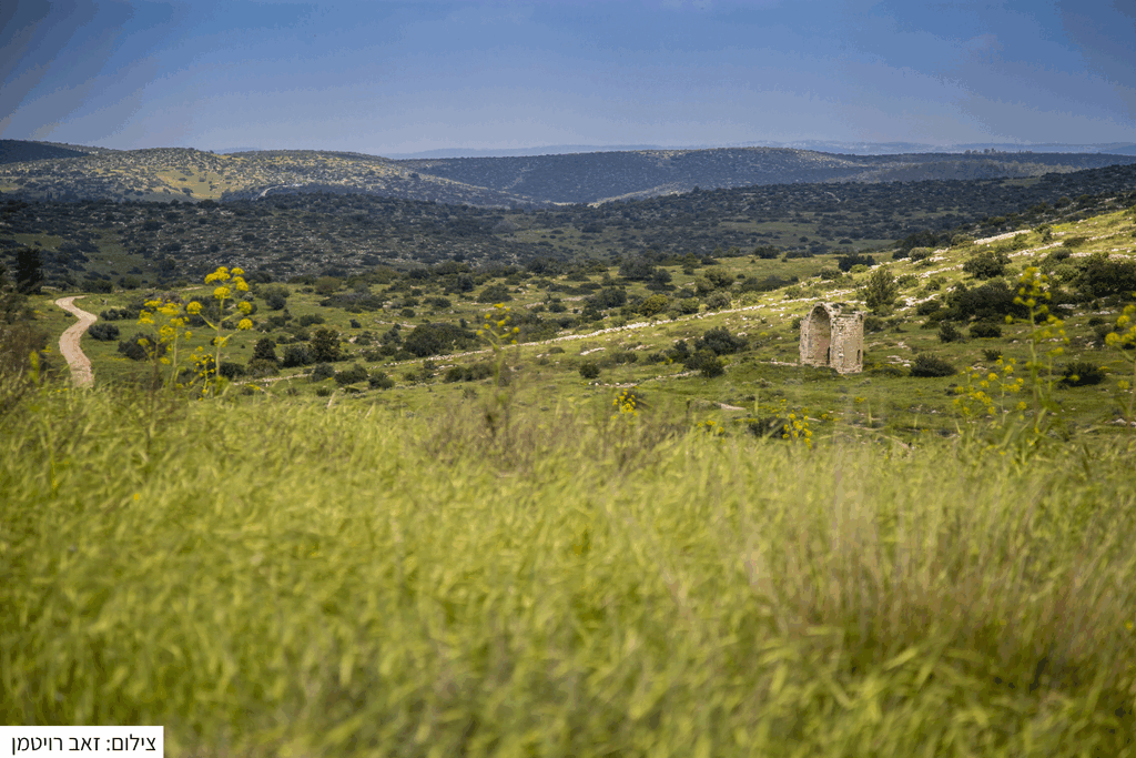 קשת עתיקה על רקע צמחיית בר ושמיים בשפלת יהודה. 
