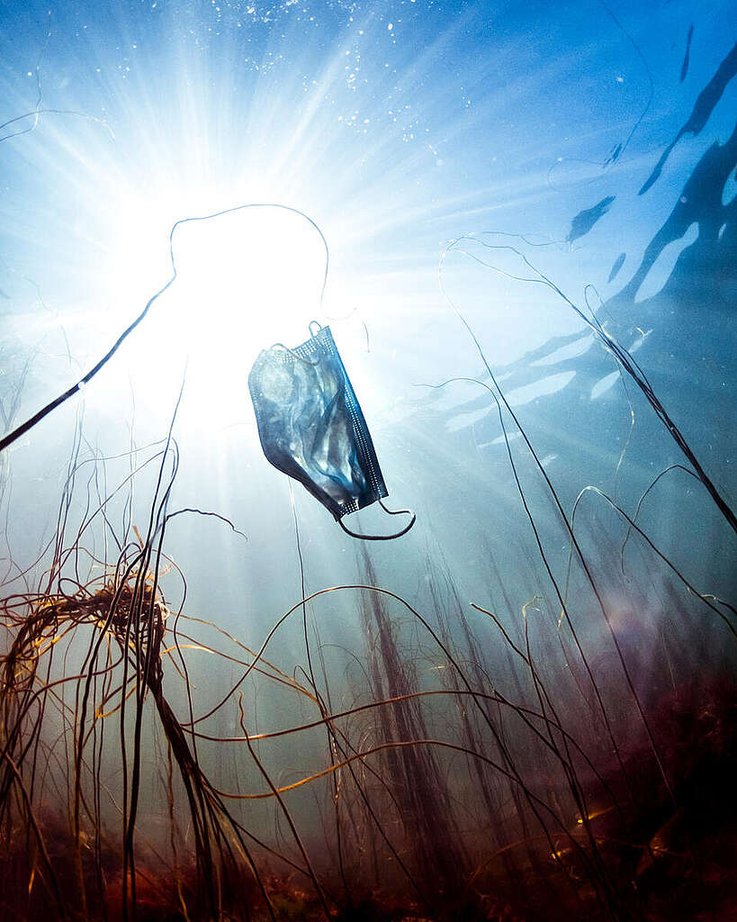 מסיכה רפואית חד-פעמית צפה בתוך הים על רקע שמש וצמחיית מים.