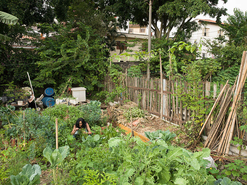 אישה עובדת בגינה קהילתית.