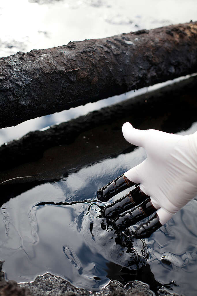 יד עם כפפת גומי לבנה מעל לשלולית נפט כשהאצבעות מלוכלכות בנםפט שחור.