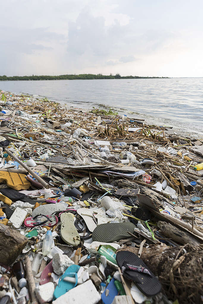 חוף ים מכוסה לחלוטין בפסולת פלסטיק.