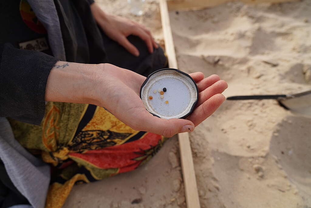 יד מחזיק מכסה של צנצנת עם נורדלים צבעוניים שנמצאו בחוף.