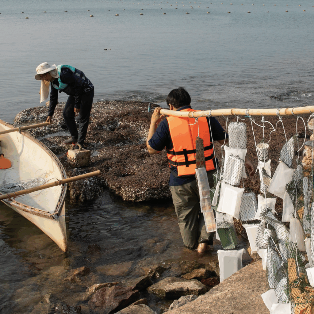 שני פעילי גרינפיס תאילנד מניחים בתוך הים כלי פלסטיק תלויים על מקל במבוק.