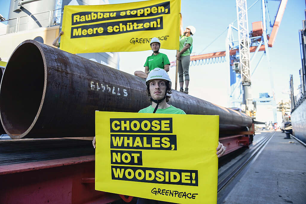 שלושה פעילי גרינפיס מוחים על צינור גז. 