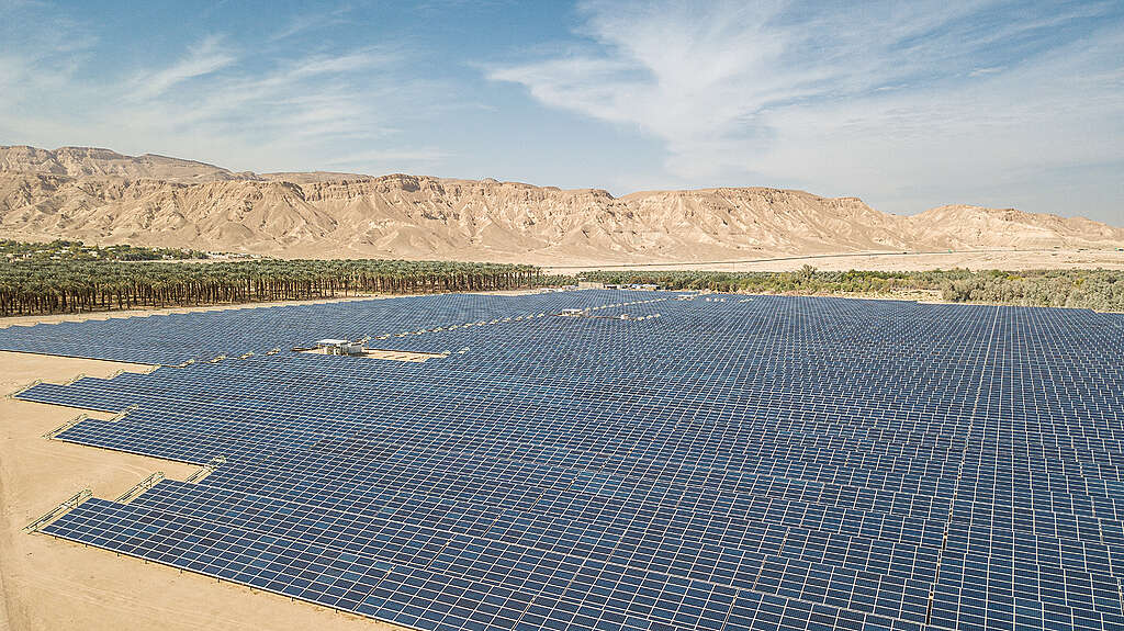 חוות אנרגיה סולארית על רקע עצי תמר בערבה.
