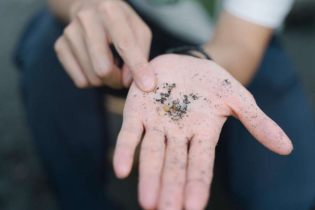 אישה מצביעה על נורדלים שנמצאים באמצע כף היד שלה.