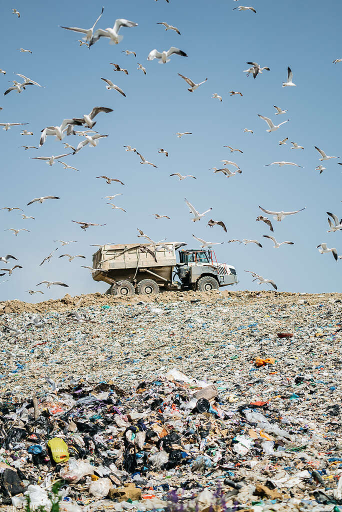 משאית זבל שנמצאת על הר של זבל במטמנה עם ציפורים בשמיים.