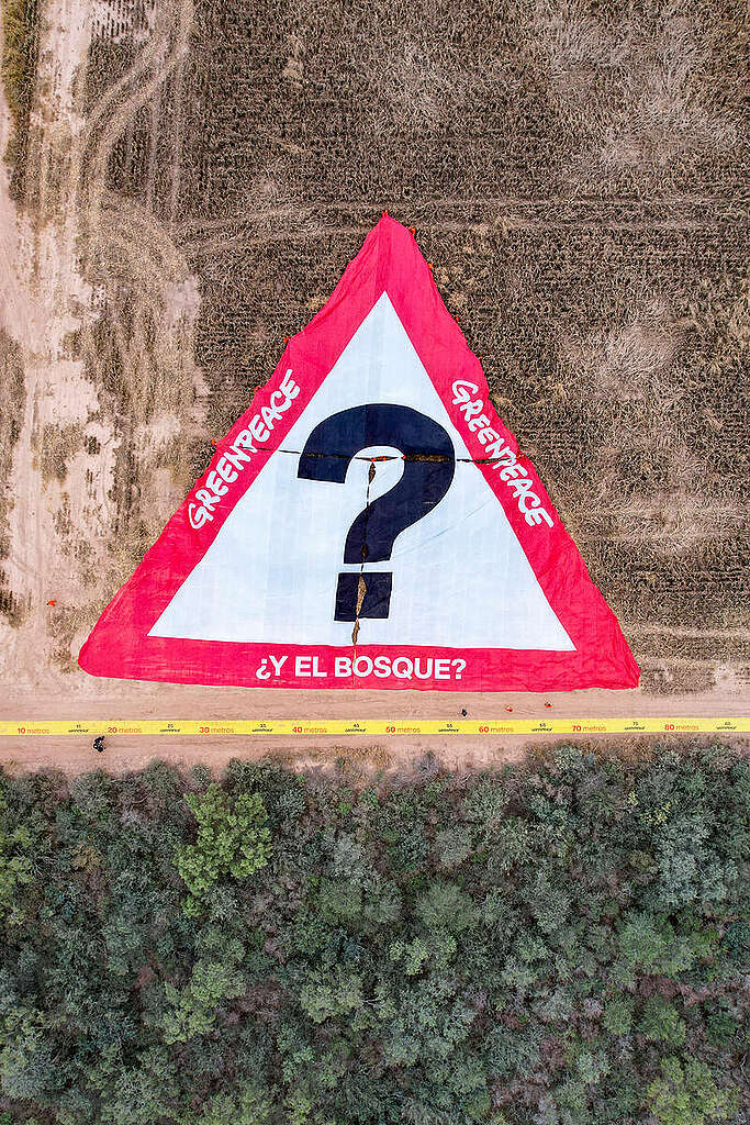שלט מחאה גדול בצורת תמרור משולש על שטח שבורא ביערות הגראן צ׳אקו בארגנטינה, עם הכיתוב ״ומה עם היער?״